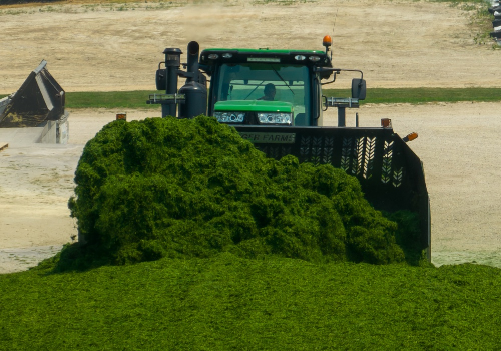 Grande - Dairy Producers - Farm Tasks